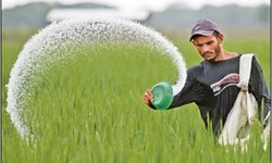 امکان ردگیری مصرف ازت در کشاورزی با تکنولوژی هسته‌ای